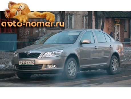 р555уу42, Skoda Octavia