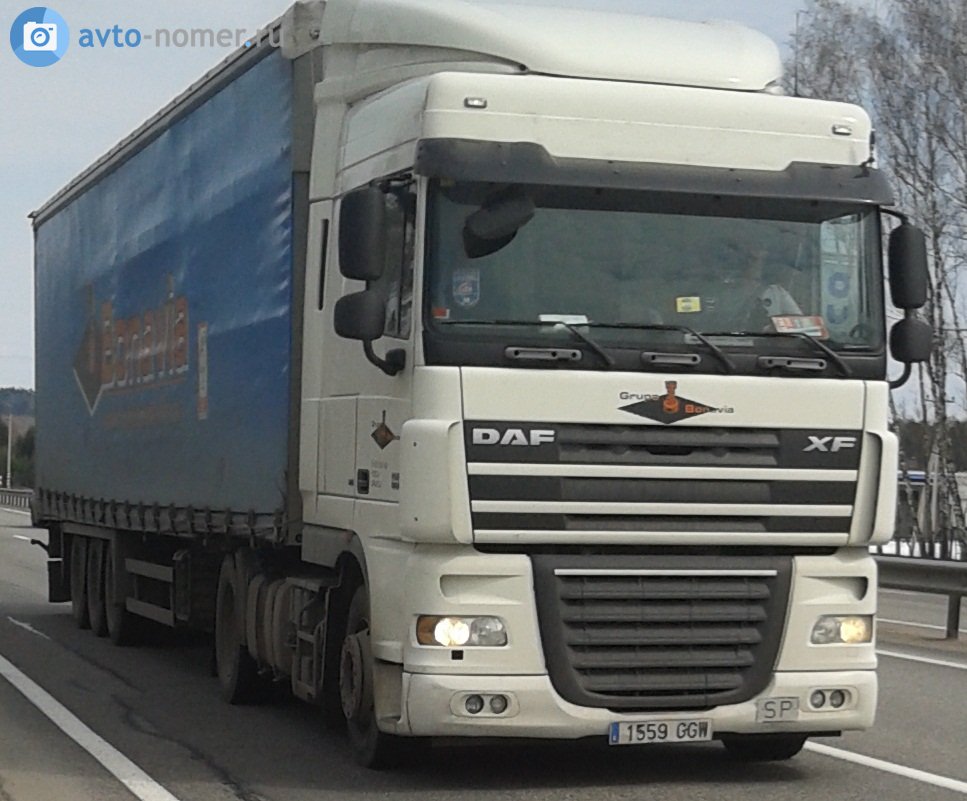 1559 GGW, DAF XF 3rd gen (XF105), 2006–2020