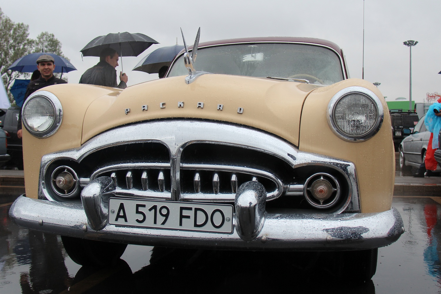 A 519 FDO, Packard Patrician 