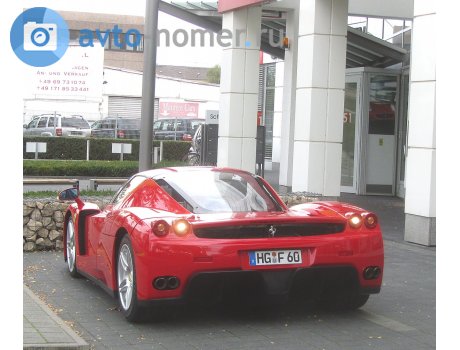 HG F 60, Ferrari Enzo