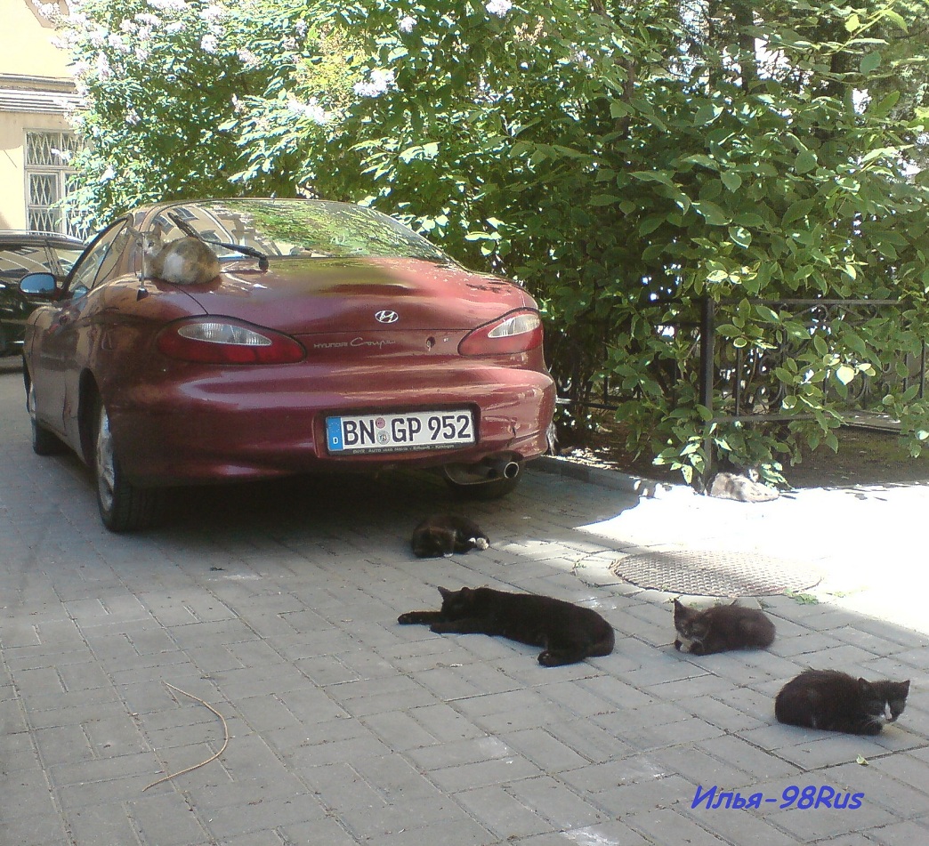 BN GP 952, Hyundai Coupé 1st gen (RD), 1996–1999