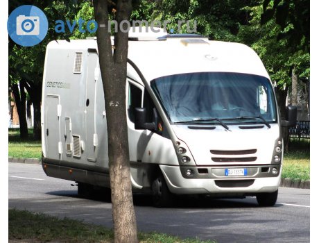 DJ 185 TK, GiottiLine Genetics