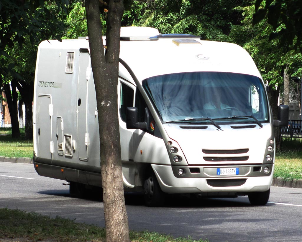 DJ 185 TK, GiottiLine Genetics 